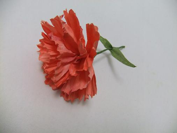 Coffee filter paper carnation